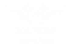 MOTORS INSPECTORS